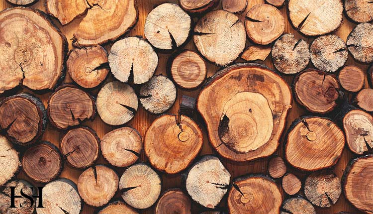 تفاوت چوب گردو و راش